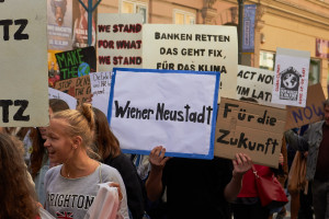 Wiener Neustadt 6 Weltweiter Klimastreik Fridays For Future Austria